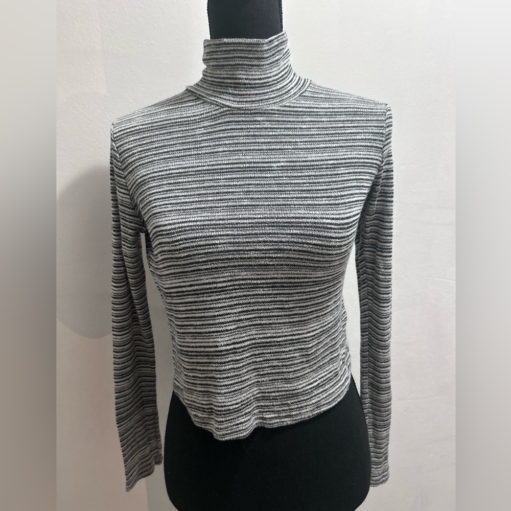 CHARLOTTE RUSSE Striped Turtle Kneck Knit